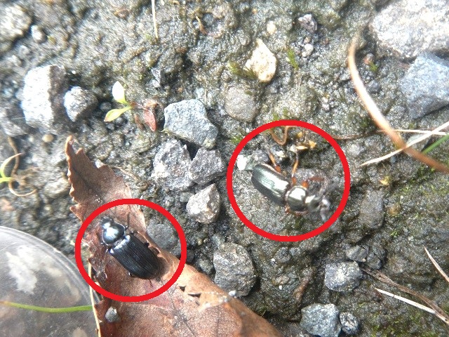 �����y�A