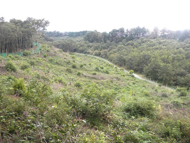 �ɓ��N�k�M��