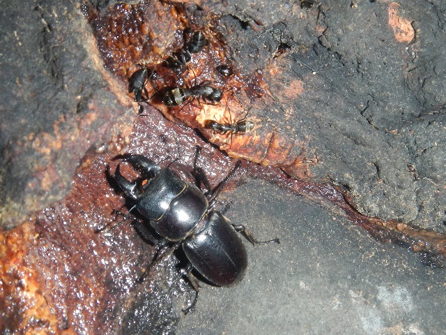 �q���^��