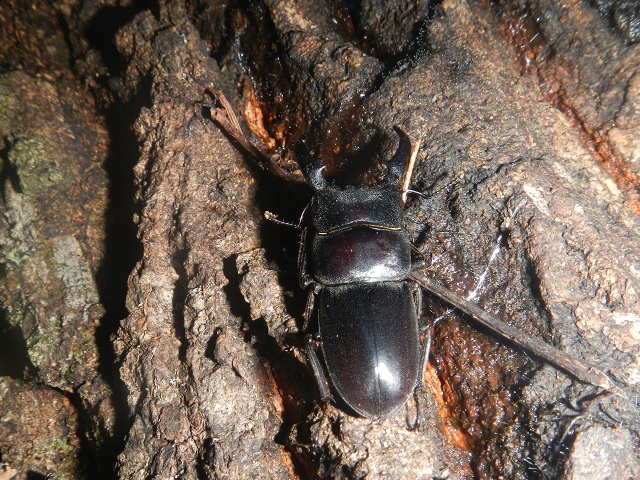 �q���^��