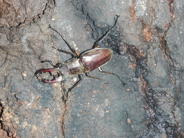 �~���}��