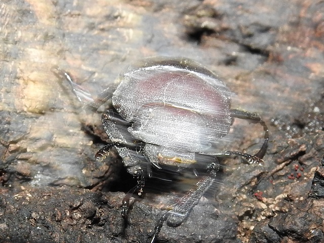 �m�R�M����