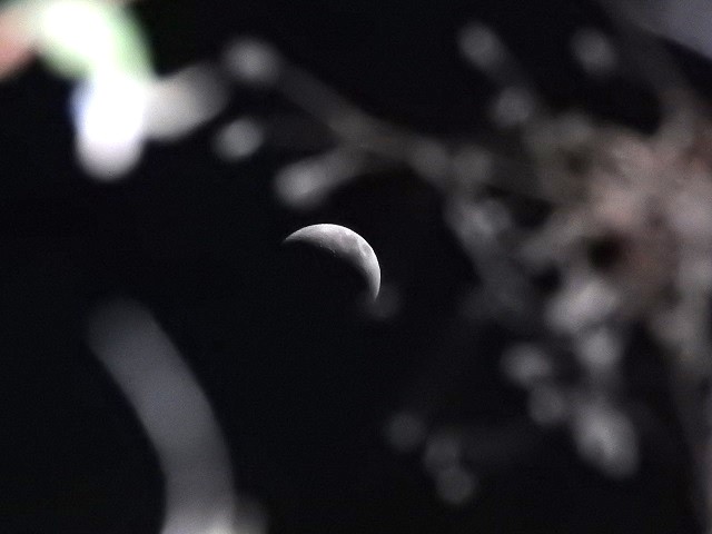 �r�ʂɉf�錎�̐���