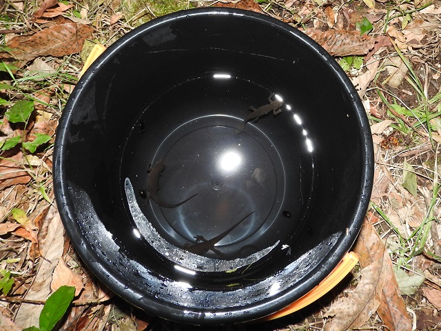 �A�J�n���C����x3��