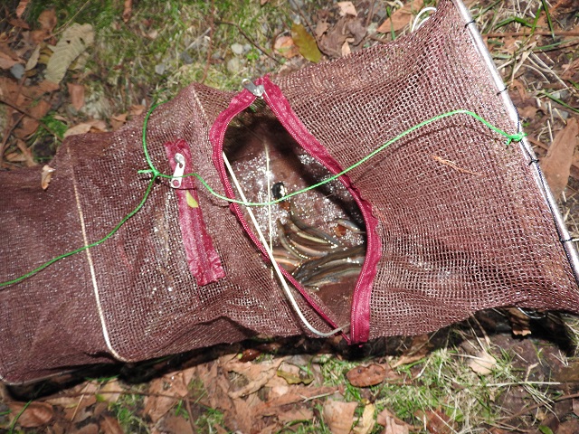 �h�W���Ex�����ς�