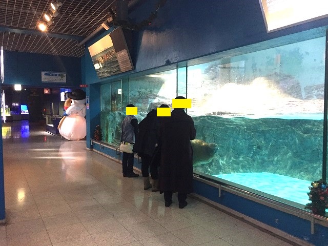 �O�ÃV�[�p���_�C�X