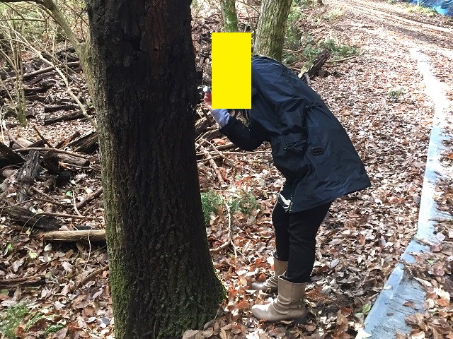 �����d���œ��̌���`��