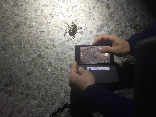 �^�C�����e�i�K�R�K�l�����B���Ă���Ђł��[������