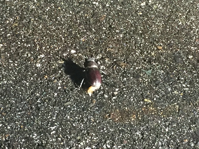 �~���}��