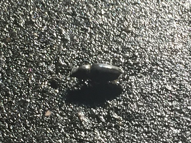 �~���}��