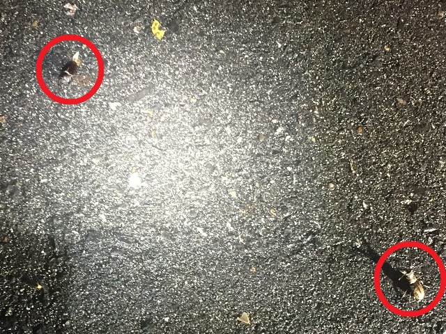 �~���}���Ɓ�