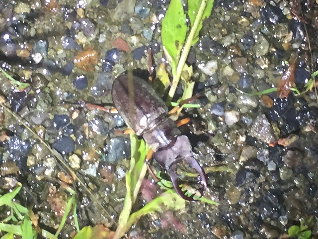 �~���}��