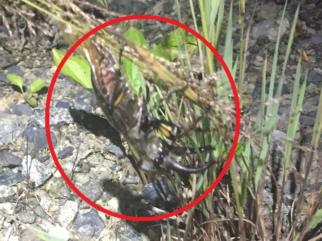 �~���}��