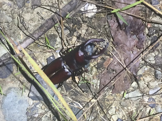 �m�R�M����