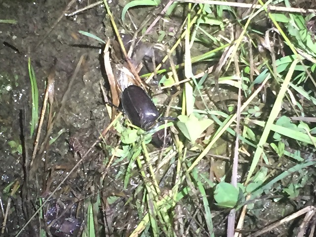 �~���}��