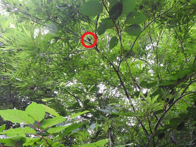 �q���I�I��