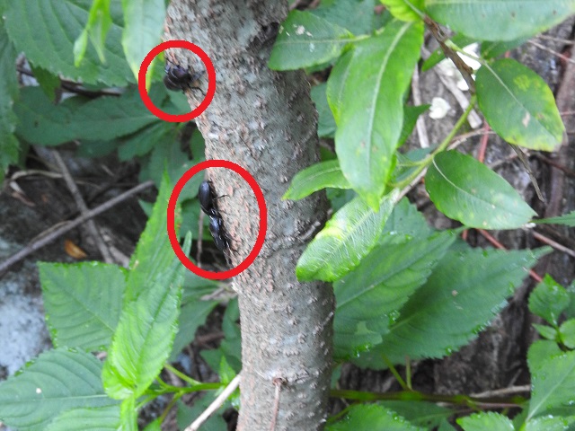 ����3��(1��2��)