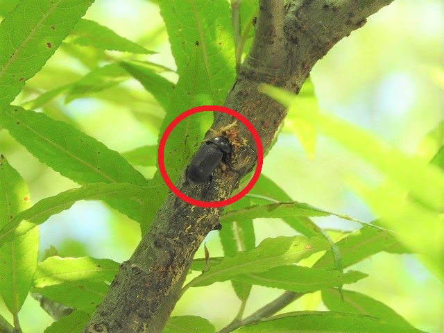 �q���I�I��