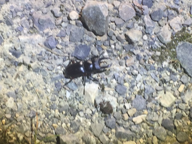 �A�J�A�V��