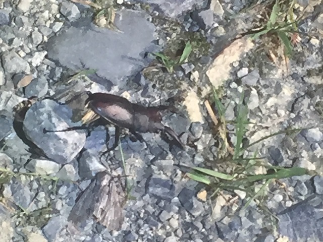 �m�R�M����