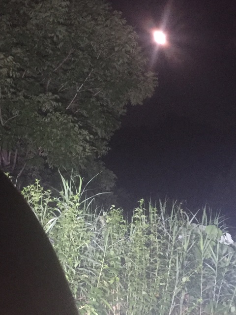 ���@��(��������)