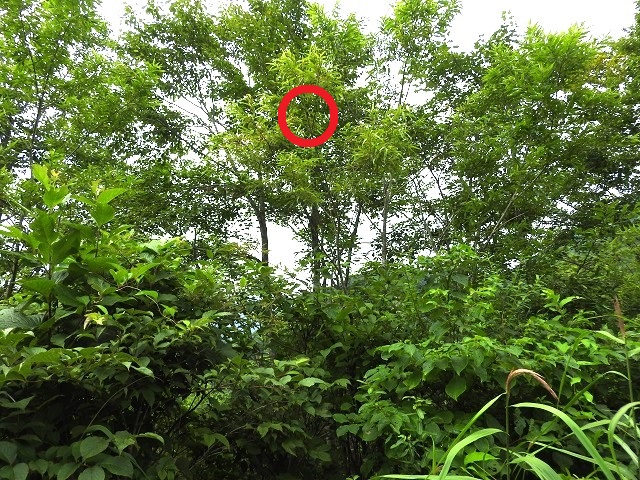 �A�J�A�V��