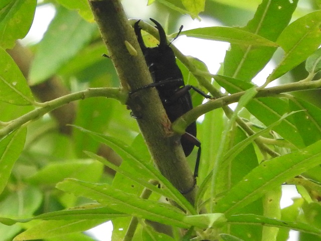 �A�J�A�V��