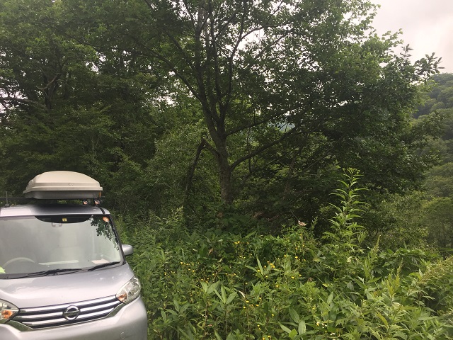 �ȉ��ځ`��