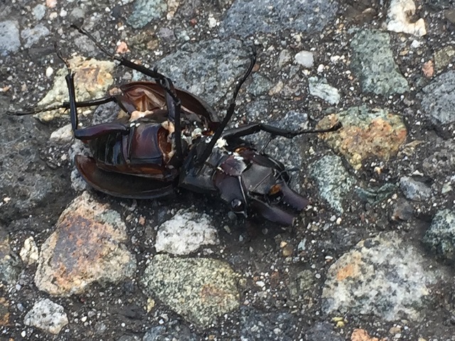 �m�R�M�������[