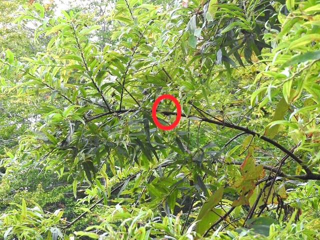 �q���I�I��?