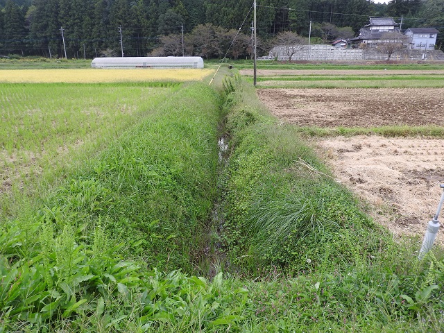 �^�K����A�ǂ����`