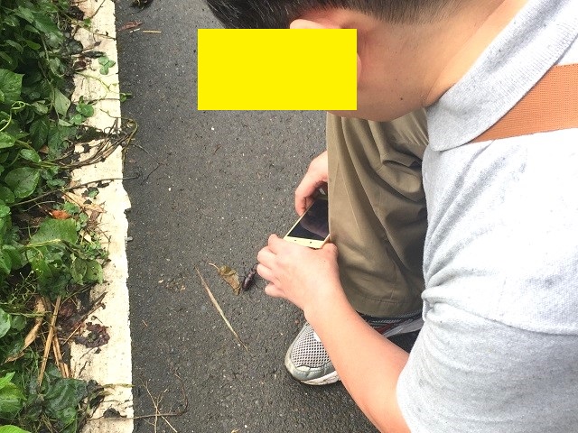 �N���[�^���񂪃^�C�����~���}���B���Ă���Ƃ���