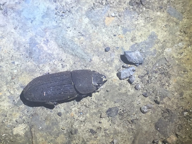 �^�C�����T�r��