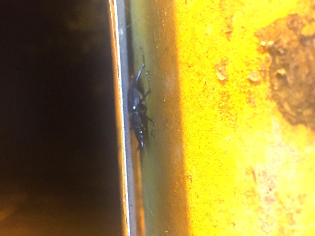 ���`�d�L��