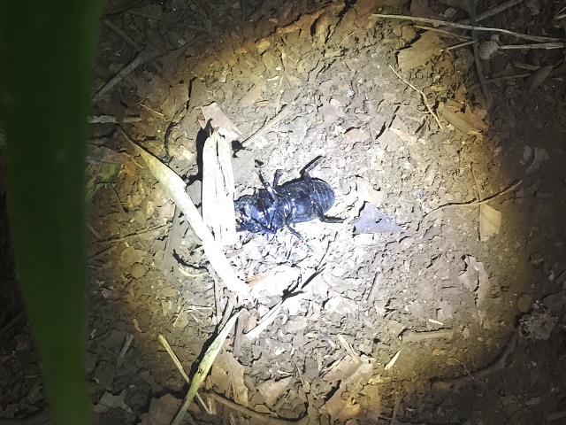 �q���^��