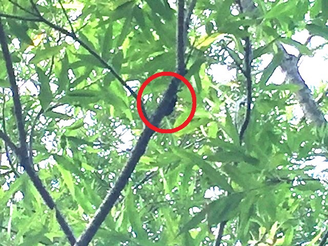 �A�J�A�V�y�A