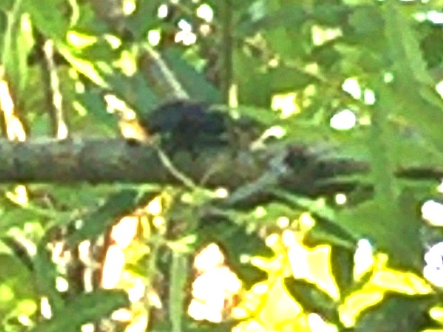 �q���I�I��