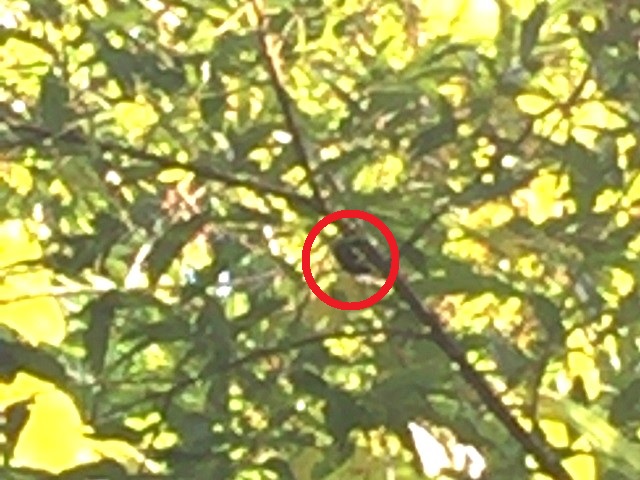 �q���I�I�y�A