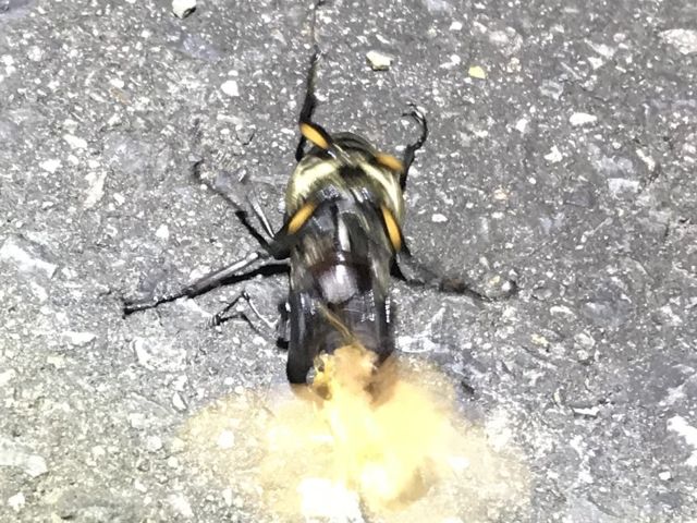 �~���}��