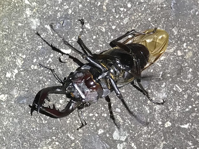 �m�R�M����