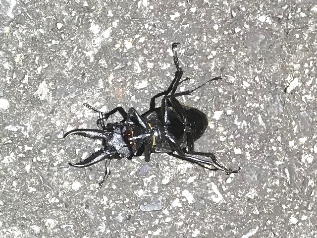 �m�R�M����