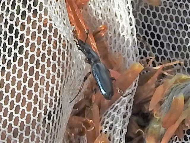 ���L�O�j�R������