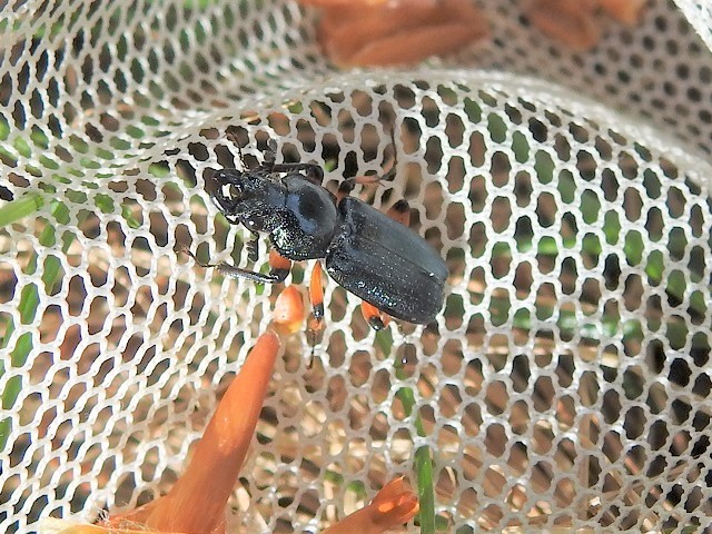 ���L�O�j�R������