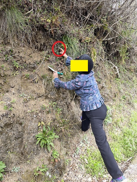 �ꂪ��낤�Ƃ��Ă���C�J���\�E