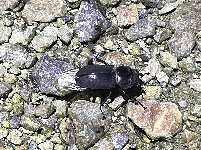 �q���I�I��