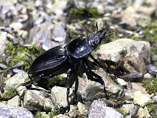 �I�I��36�~��