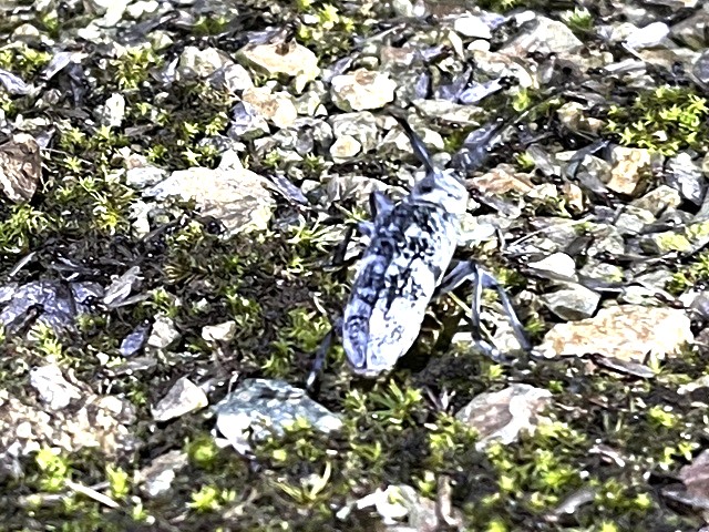 ���R���}�q�Q�i�K�J�~�L����26�~��