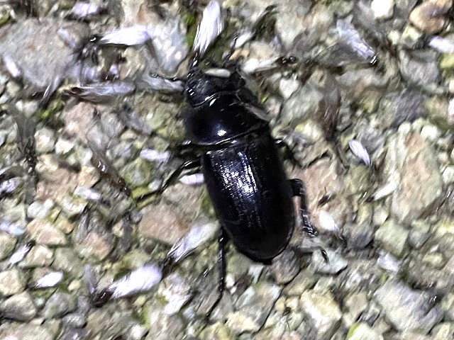 �I�I��36�~��