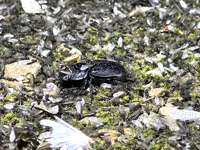 �I�I��32�~��