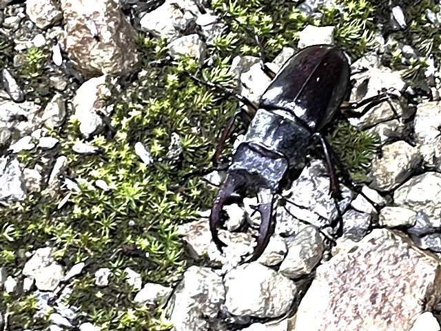 �~���}��